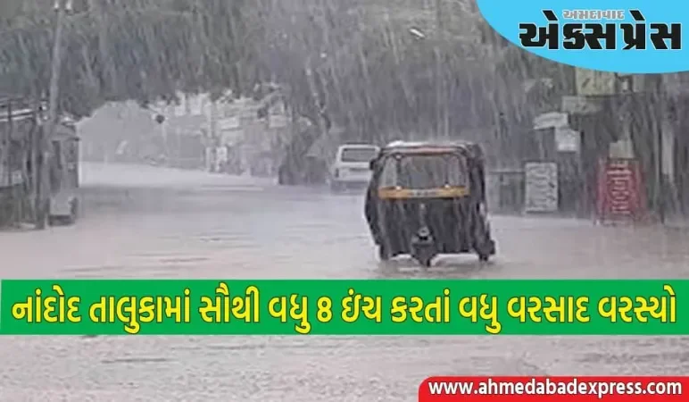 છેલ્લાં ૨૪ કલાક દરમિયાન નર્મદા જિલ્લાના  નાંદોદ તાલુકામાં સૌથી વધુ ૮ ઇંચ કરતાં વધુ વરસાદ વરસ્યો