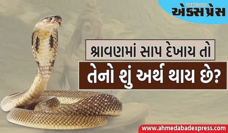 શ્રાવણમાં સાપ દેખાય તો તેનો શું અર્થ થાય છે? જો તમને સપનામાં પણ તે દેખાય છે, તો તમને આ શુભ સંકેતો મળે છે