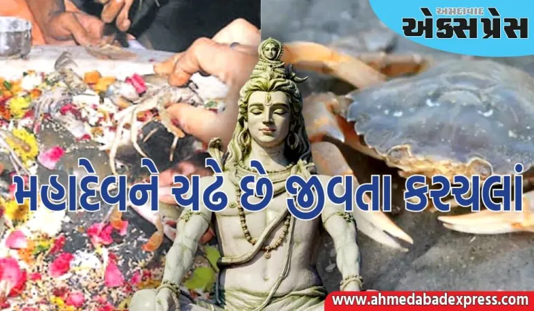 એક એવું અનોખું શિવ મંદિર જ્યાં શિવલિંગ પર જીવતો કરચલો ચઢાવવામાં આવે છે