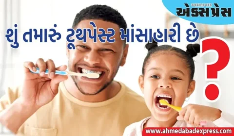 શું તમારું ટૂથપેસ્ટ શાકાહારી છે કે માંસાહારી, ક્યારે તે માંસાહારી બને છે? જાણો અહીં