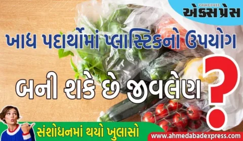 ફ્રીજમાં શાકભાજી બેગમાં મૂકીને રાખો છો, જાણો આ આદત કેવી રીતે જીવલેણ બની જાય છે