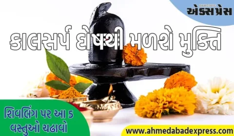 Nag Panchami 2025: નાગ પંચમી પર શિવલિંગ પર આ 5 વસ્તુઓ ચઢાવો, કાલસર્પ દોષથી મળશે મુક્તિ 