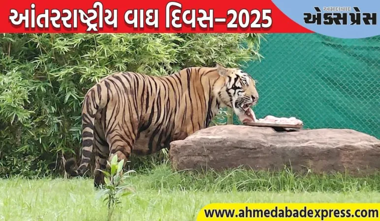 ગીર ફાઉન્ડેશન, ગાંધીનગર દ્વારા આંતરરાષ્ટ્રીય વાઘ દિવસ–૨૦૨૫ની ઉજવણી કરાઈ