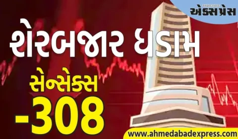 શેરબજારમાં કડાકો, સેન્સેક્સ ૩૦૮ પોઈન્ટ ઘટીને બંધ થયો, નિફ્ટી ૨૪,૬૫૦ થી નીચે, આ શેરોમાં હલચલ