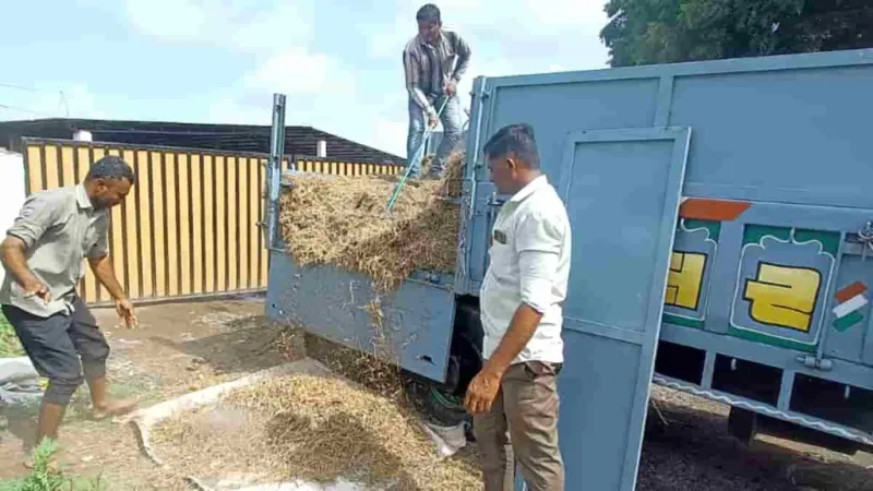 જૂનાગઢ ગૌશાળાને શ્રી હરેશભાઈ ગજેરાનું ૧૦૦ મણ લીલા ઘાસચારાનું દાન