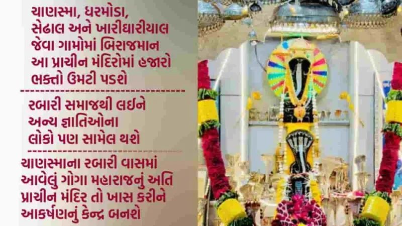 ચાણસ્મા પંથકમાં ગોગા મહારાજના મેળાનું આયોજન: નાગ પંચમીની ઉજવણી કરાશે!