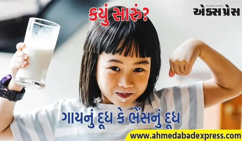 Cow vs Buffalo Milk: ગાય કે ભેંસનું દૂધ, કોનું દૂધ પાચન અને કિડની માટે સારું છે? જાણો નિષ્ણાત પાસેથી