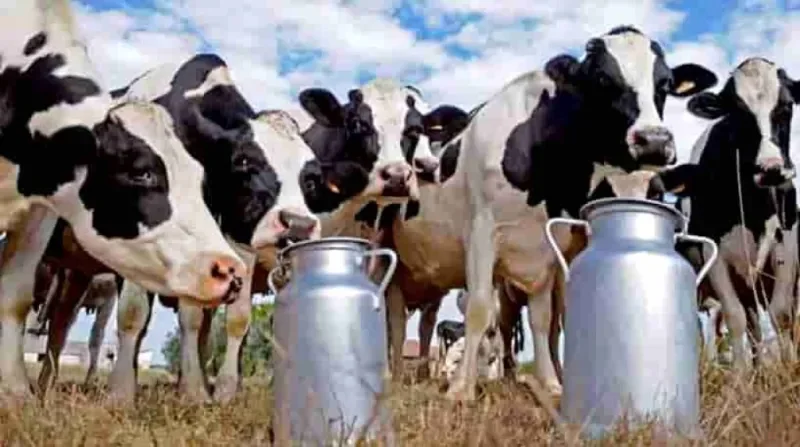 ઉત્તર ગુજરાતનો ડેરી સહકાર: બનાસ, દૂધસાગર, સાબર ડેરીએ ગુજરાતને વૈશ્વિક ઓળખ આપી