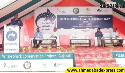 વેરાવળ ખાતે ૧૭માં આંતરરાષ્ટ્રીય વ્હેલ શાર્ક દિવસની ઉજવણી થઈ