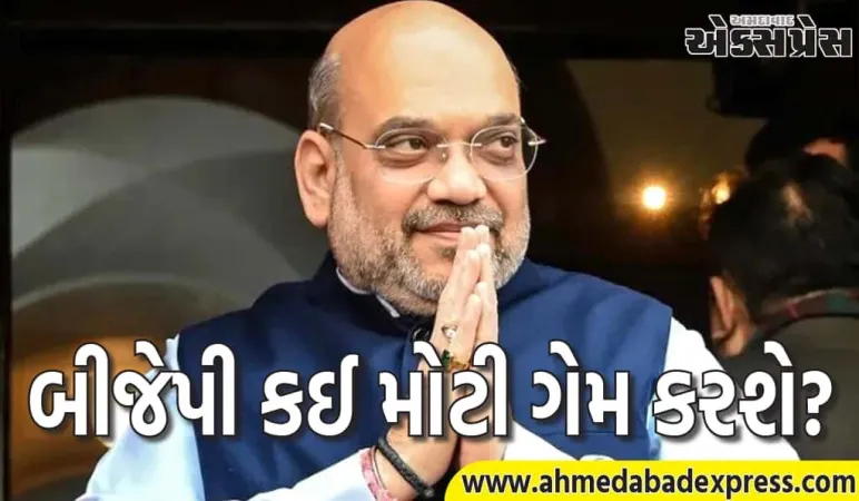 દિલ્હીમાં અમિત શાહના ઘરે બિહાર ભાજપની મોટી બેઠક