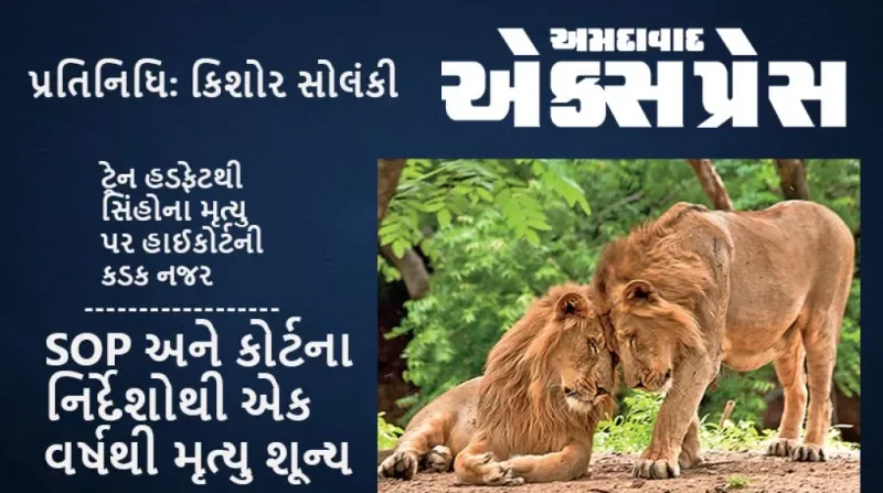 ગુજરાત હાઈકોર્ટની સંવેદનશીલતાથી એશિયાટિક સિંહોનું રક્ષણ