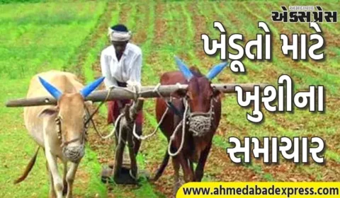 ખરીફ પાકોની ટેકાના ભાવે ખરીદી માટે નોંધણીની સમયમર્યાદા ૨૨ સપ્ટેમ્બર સુધી વધારાઈ