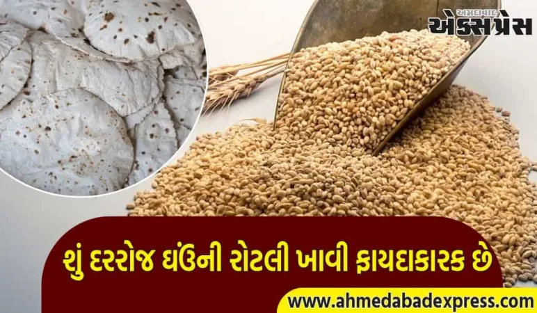 શું દરરોજ ઘઉંની રોટલી ખાવી તમારા સ્વાસ્થ્ય માટે ખતરનાક છે? જાણો નિષ્ણાત પાસેથી