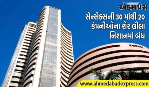 સેન્સેક્સ ૩૧૩ પોઈન્ટના વધારા સાથે અને નિફ્ટી ૯૧ પોઈન્ટના વધારા સાથે બંધ થયો