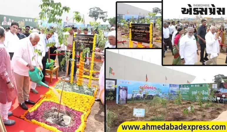 મુખ્યમંત્રી ભૂપેન્દ્ર પટેલે મિશન ફોર મિલિયન ટ્રીઝ અભિયાન અંતર્ગત સાબરમતી વોર્ડ ખાતે વૃક્ષારોપણ કર્યું