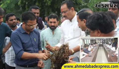 કમોસમી વરસાદના પગલે ઉભી થયેલી પરિસ્થિતિનો તાગ મેળવવા  ભાવનગરના શિહોર ખાતે કૃષિ મંત્રી જીતુભાઈ વાઘાણીએ બેઠક યોજી