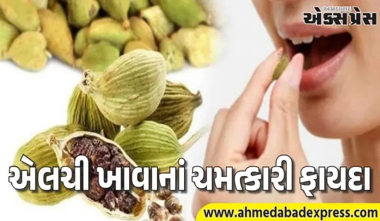 સૂતા પહેલા બે એલચી ખાવાથી શું થાય છે? જાણો તેના ફાયદા 