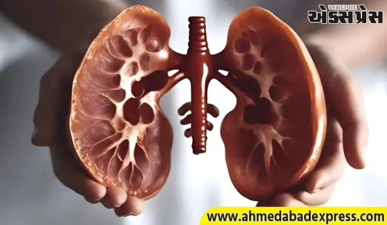 કિડનીને સૌથી વધુ નુકસાન કઈ રીતે થાય છે? જો તમે સાવચેત નહીં રહો, તો તે નુકસાન તરફ દોરી શકે છે