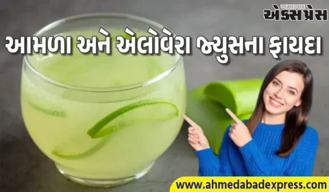 સવારે ખાલી પેટે આમળા અને એલોવેરાનો જ્યુસ પીવાના ફાયદા