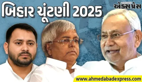 બિહાર ચૂંટણી 2025: લાલુ જેવો થઇ ગયો તેજસ્વીનો હાલ, નીતિશ કુમાર અને ભાજપએ કર્યો 2010 જેવો કમાલ