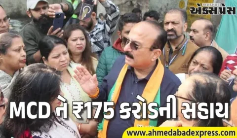 દિલ્હી: સરકારનું સફાઈ માટે મોટું પગલું, MCD ને ₹175 કરોડની સહાય મળી