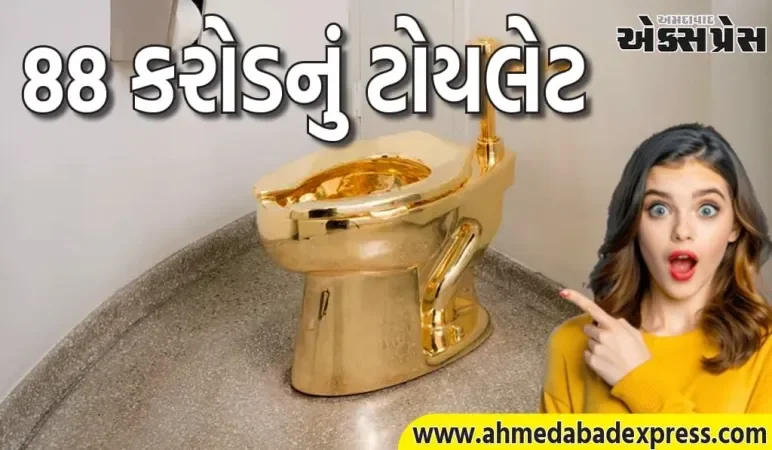 ૧૦૧ કિલો સોનાનું ટોયલેટ હરાજીમાં – કિંમત સાંભળીને ચોંકી જશો