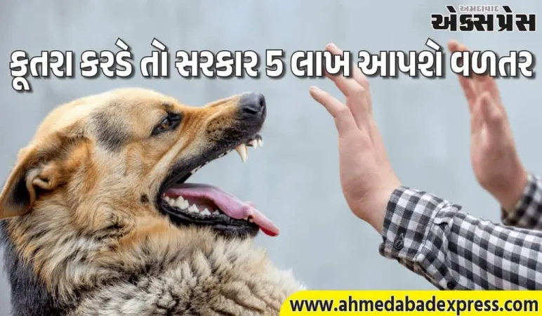કૂતરા કરડવાથી મૃત્યુ થાય તો ₹5 લાખ વળતર! કર્ણાટક સરકારનો મોટો નિર્ણય