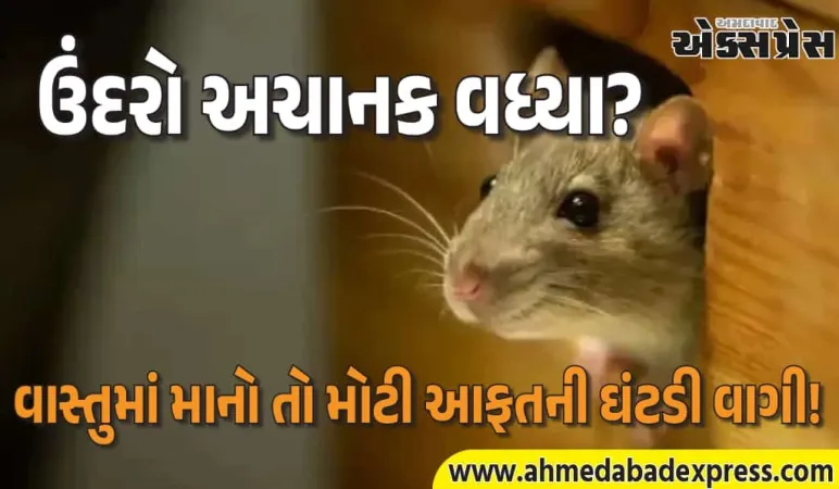 વાસ્તુ મુજબ ઉંદરોનો અર્થ = ઘરમાં નકારાત્મક ઊર્જા! આ 5 મોટી મુસીબતો આવશે