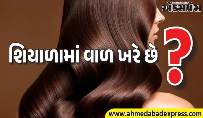 માત્ર 15 દિવસ આમળા તેલ લગાવો – વાળ ખરવાની સમસ્યા કાયમ માટે ભાગી જશે!