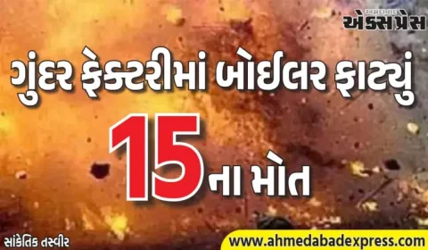 પાકિસ્તાનમાં ભયાનક વિસ્ફોટ: ગુંદર ફેક્ટરીમાં બોઈલર ફાટ્યું, 15 કામદારોનાં મોત