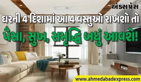 વાસ્તુનો ચમત્કાર – 4 દિશામાં 4 વસ્તુઓ રાખતાં જ બદલાઈ જશે નસીબ!