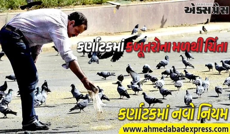 ખુલ્લામાં કબૂતરોને ખોરાક આપવા પર પ્રતિબંધ! કર્ણાટકમાં નવો નિયમ – દંડ અને જાગૃતિ