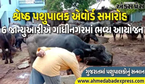ગુજરાત પશુપાલક એવોર્ડ 2026: 565 પશુપાલકોને ₹91 લાખ પ્રોત્સાહન
