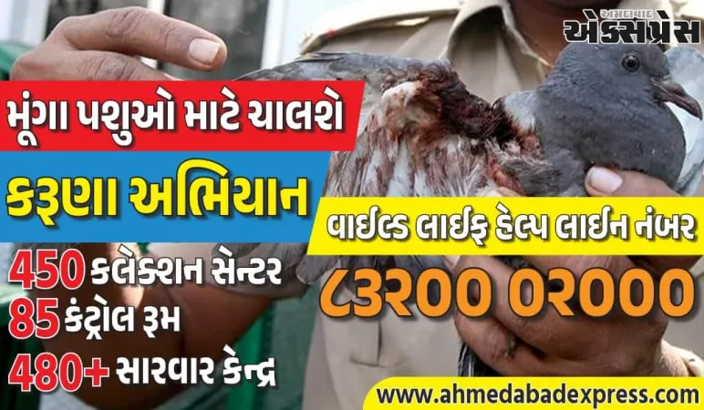 કરૂણા અભિયાન 2026: ઉત્તરાયણમાં ઘાયલ પક્ષીઓને બચાવવા મોટી પહેલ – 10થી 20 જાન્યુઆરી સુધી રાજ્યભરમાં કાર્યરત