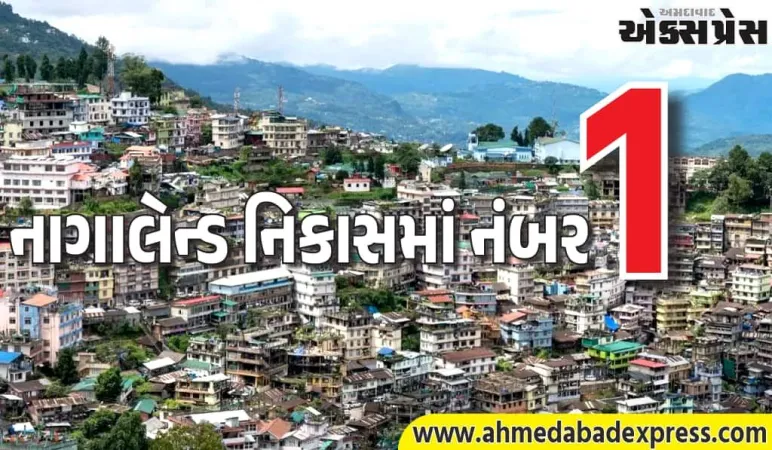 નાગાલેન્ડ એક્સપોર્ટની તૈયારીમાં પૂર્વોત્તરમાં સૌથી આગળ, અન્ય રાજ્યો મિશ્ર પરિણામો