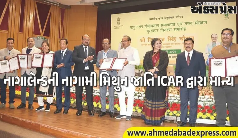 નાગાલેન્ડ માટે ગર્વની ક્ષણ, ICARએ 'નાગામી મિથુન' જાતિની સત્તાવાર નોંધણી કરી