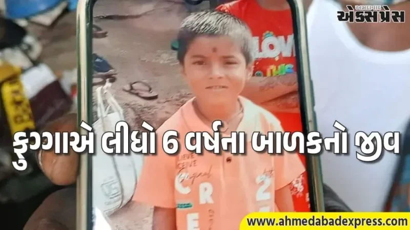 ચોંકાવનારું: ચિપ્સ પેકેટમાંથી મળેલા નાના ફુગ્ગાએ લીધો 6 વર્ષના બાળકનો જીવ