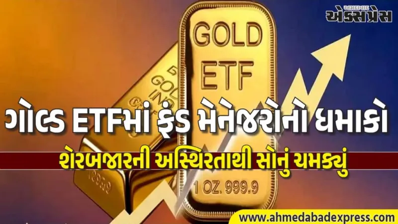 શેરબજારમાં તણાવથી ગોલ્ડ ETFમાં ઉછાળો. જાન્યુઆરીમાં ₹24,000 કરોડનો રેકોર્ડ પ્રવાહ