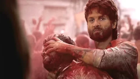O Romeo Box Office Collection: શાહિદ કપૂરે મચાવી ધૂમ