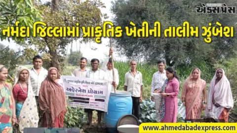 નર્મદા જિલ્લામાં પ્રાકૃતિક કૃષિ ક્રાંતિ, ATMA પ્રોજેક્ટ હેઠળ તાલીમ અને મોડેલ ફાર્મ મુલાકાત – ખેડૂતોને ઓછા ખર્ચે વધુ ઉત્પાદનના ટિપ્સ