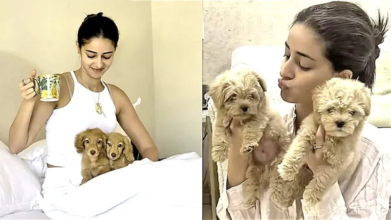 અનન્યા પાંડેએ તેના નવા શ્વાનનું નામ બદલ્યું