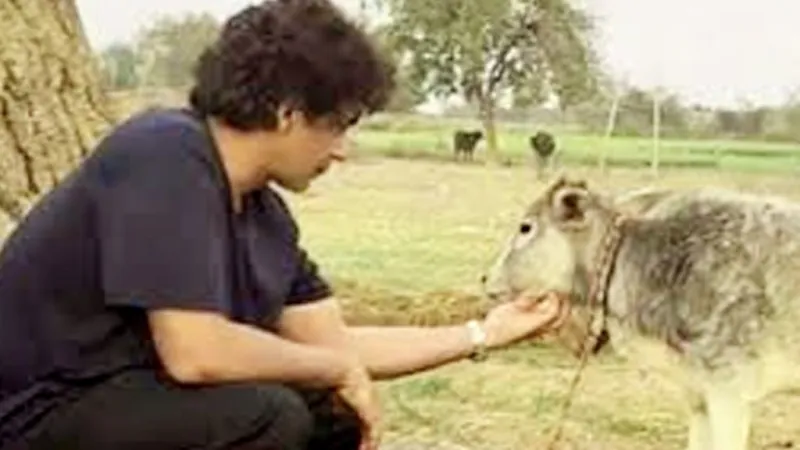 સુનીલ ગ્રોવરના હાઈવે પર નવા મિત્રો: કોમેડી સ્ટારે વાછરડાને ખવડાવી જીત્યા દિલ