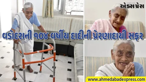 ૧૦૪ વર્ષની વયે પણ મતદાનનો થનગનાટ: વડોદરાના 'સવિતા બા' બન્યા લોકશાહીની જીવંત પ્રેરણા