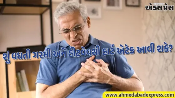 ઉનાળાની કાળઝાળ ગરમીમાં હૃદયને સુરક્ષિત રાખવાનો માસ્ટરપ્લાન: ડૉક્ટરે આપ્યા ૪ સૌથી મહત્વના હેલ્થ ટીપ્સ