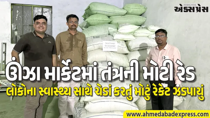 ગાંધીનગર ફ્લાઈંગ સ્કોડનો સપાટો: ઊંઝાની ફેક્ટરીમાંથી વરિયાળી અને ૧૪૦ કિગ્રા પ્રતિબંધિત લીલો રંગ પકડાયો