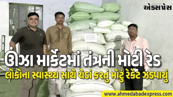 ગાંધીનગર ફ્લાઈંગ સ્કોડનો સપાટો: ઊંઝાની ફેક્ટરીમાંથી વરિયાળી અને ૧૪૦ કિગ્રા પ્રતિબંધિત લીલો રંગ પકડાયો