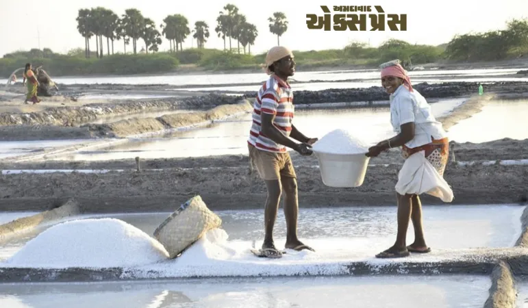 ડીઝલની અછતથી નાના રણના અગરિયા સમુદાયમાં ભય, ₹250 કરોડના નુકસાનની આશંકા