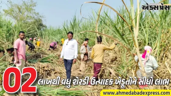 શેરડી પકવતા ખેડૂતો માટે મોટી રાહત: ૨૦૦૭-૧૫ ના શેરડીના ભાવોને મળી રાજ્ય સરકારની સત્તાવાર મંજૂરી