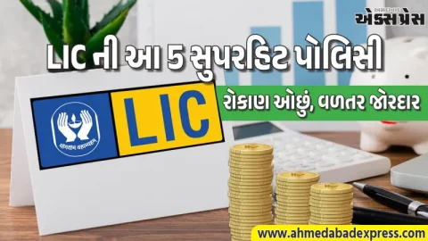 LIC ની આ 5 સુપરહિટ પોલિસી: રોજ માત્ર ₹45 બચાવો અને મેળવો ₹25 લાખનું બંપર ભંડોળ!