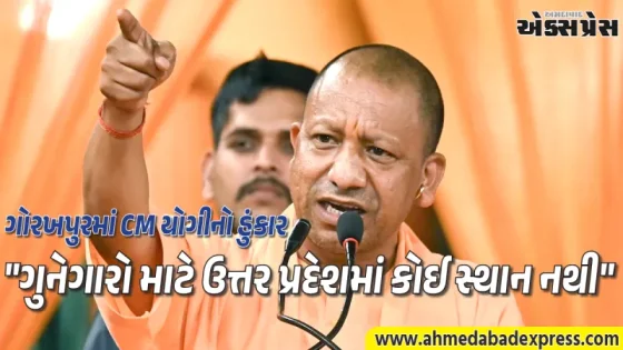 "પાતાળમાં છુપાઈ જાઓ તો પણ શોધીશું": ગુનેગારોને મુખ્યમંત્રી યોગીની કડક ચેતવણી